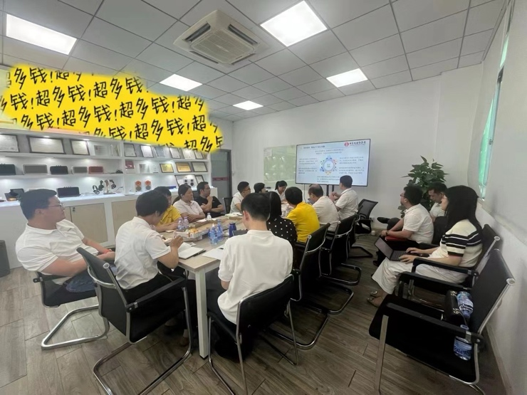 内控体系落地项目